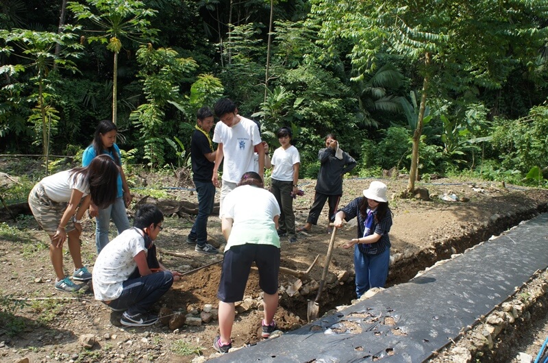 農作業ボランティア