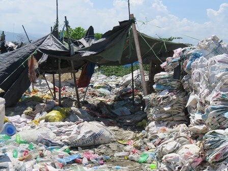 スカベンジャーの暮らし